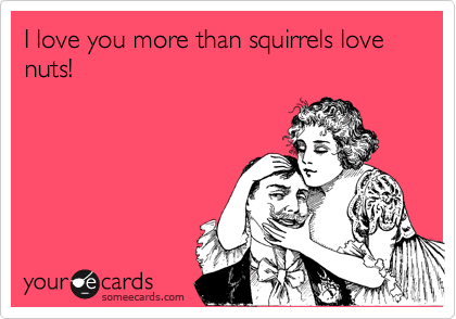 I love you more than squirrels love nuts! | Thinking Of You Ecard