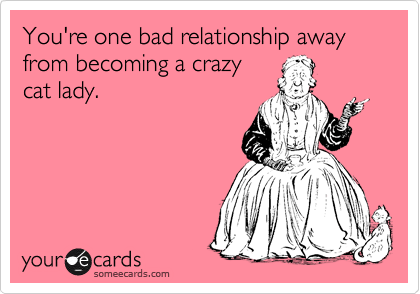 You're one bad relationship away from becoming a crazy
cat lady.