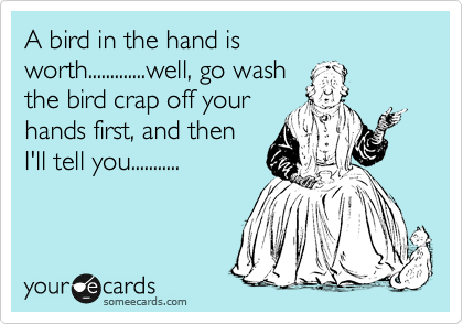 A bird in the hand is worth.............well, go wash
the bird crap off your
hands first, and then
I'll tell you...........