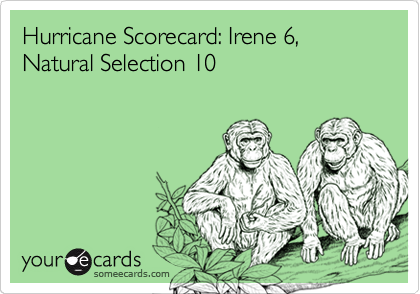 Hurricane Scorecard: Irene 6, Natural Selection 10