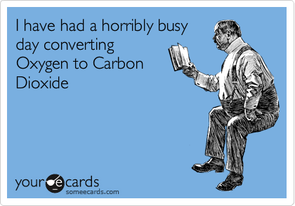 I have had a horribly busy 
day converting 
Oxygen to Carbon
Dioxide