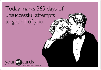 Today marks 365 days of unsuccessful attempts
to get rid of you.