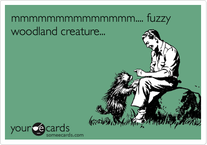 mmmmmmmmmmmmmm.... fuzzy woodland creature... 