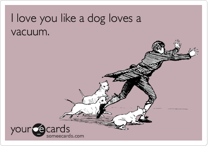 I love you like a dog loves a vacuum.