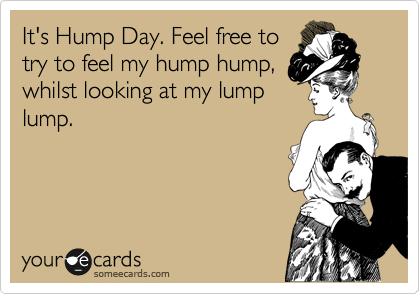 It's Hump Day. Feel free to
try to feel my hump hump,
whilst looking at my lump
lump. 