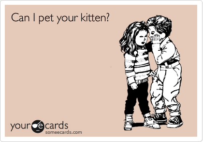 Can I pet your kitten?