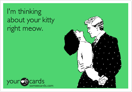 I'm thinking
about your kitty
right meow.
