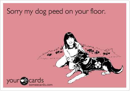 Sorry My Dog Peed On Your Floor Apology Ecard