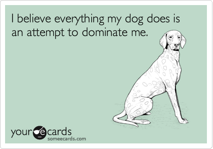 I believe everything my dog does is an attempt to dominate me.