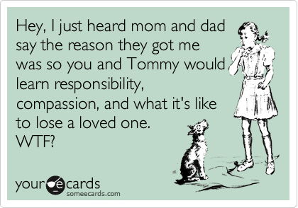 Hey, I just heard mom and dad
say the reason they got me
was so you and Tommy would
learn responsibility,
compassion, and what it's like
to lose a loved one.
WTF?