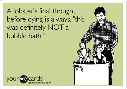 A lobster's final thought
before dying is always, "this
was definitely NOT a
bubble bath."