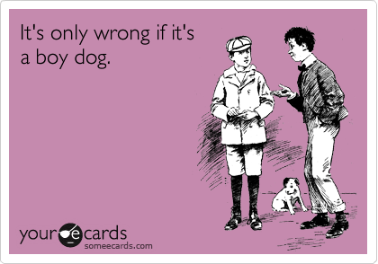 It's only wrong if it's
a boy dog.