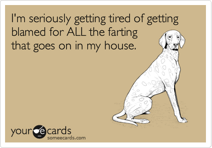 I'm seriously getting tired of getting blamed for ALL the farting
that goes on in my house.