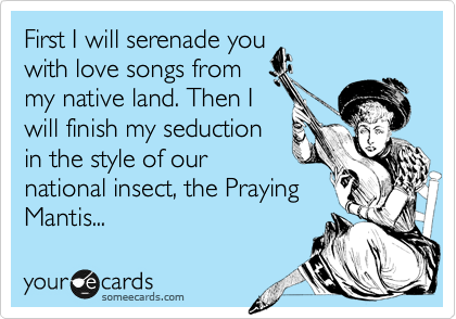 First I will serenade you
with love songs from
my native land. Then I
will finish my seduction 
in the style of our
national insect, the Praying 
Mantis... 