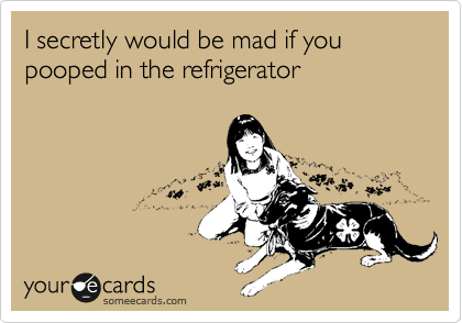 I secretly would be mad if you pooped in the refrigerator