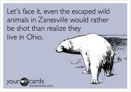 Let's face it, even the escaped wild animals in Zanesville would rather be shot than realize they
live in Ohio. 