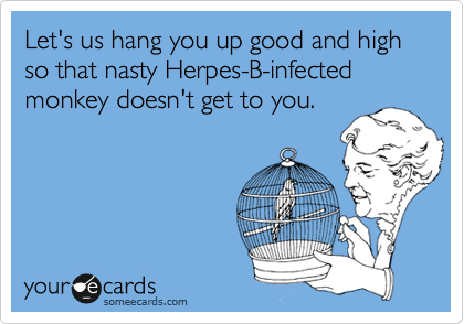 Let's us hang you up good and high so that nasty Herpes-B-infected monkey doesn't get to you.