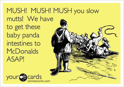 MUSH!  MUSH! MUSH you slow mutts!  We have
to get these
baby panda
intestines to
McDonalds
ASAP!