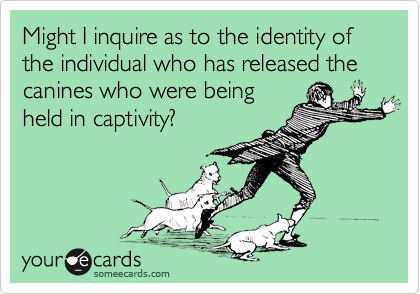 Might I inquire as to the identity of the individual who has released the canines who were being
held in captivity?