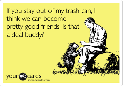 If you stay out of my trash can, I think we can become
pretty good friends. Is that
a deal buddy?