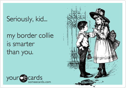 
Seriously, kid...

my border collie
is smarter
than you.