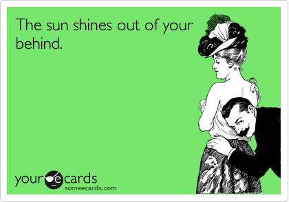 The sun shines out of your
behind.