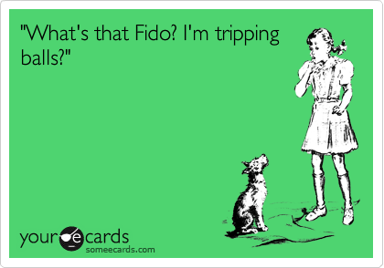 "What's that Fido? I'm tripping
balls?"
