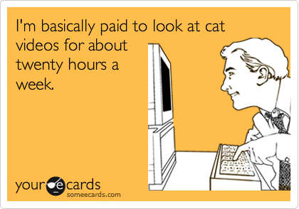 I'm basically paid to look at cat videos for about
twenty hours a
week.
