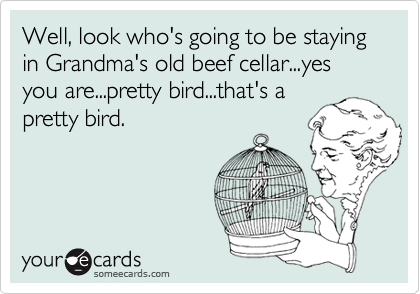 Well, look who's going to be staying in Grandma's old beef cellar...yes you are...pretty bird...that's a
pretty bird.