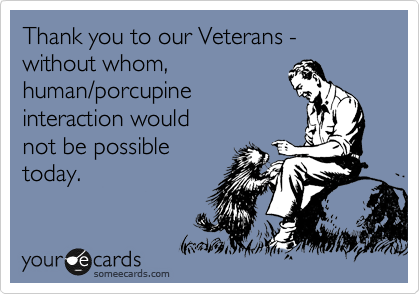 Thank you to our Veterans -  without whom,
human/porcupine
interaction would
not be possible
today.