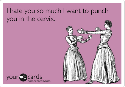 I hate you so much I want to punch you in the cervix.
