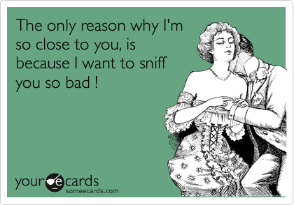 The only reason why I'm
so close to you, is
because I want to sniff
you so bad !