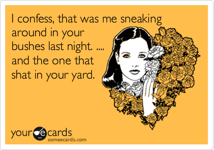 I confess, that was me sneaking around in your
bushes last night. ....
and the one that
shat in your yard. 