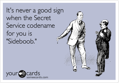 It's never a good sign
when the Secret
Service codename
for you is
"Sideboob."