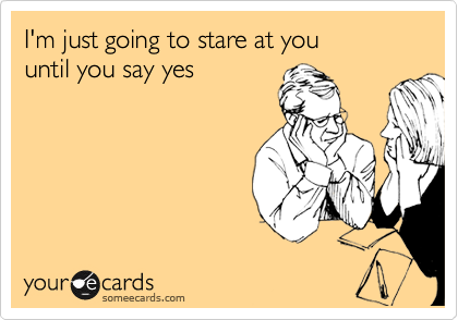 I'm just going to stare at you 
until you say yes