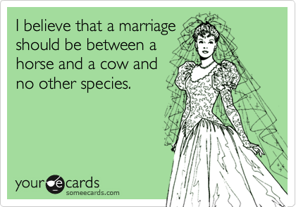 I believe that a marriage
should be between a
horse and a cow and
no other species.