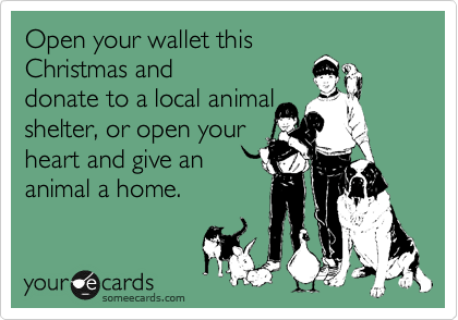 Open your wallet this
Christmas and
donate to a local animal
shelter, or open your
heart and give an
animal a home.