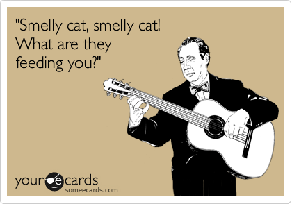 "Smelly cat, smelly cat!
What are they 
feeding you?"