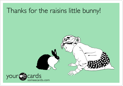 Thanks for the raisins little bunny!