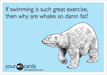 If swimming is such great exercise, then why are whales so damn fat?
