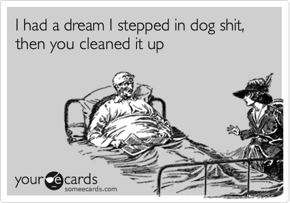 I had a dream I stepped in dog shit, then you cleaned it up