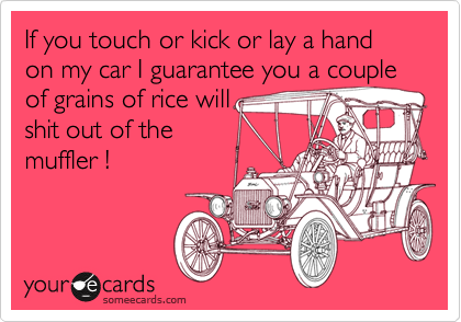 If you touch or kick or lay a hand on my car I guarantee you a couple of grains of rice will
shit out of the
muffler !