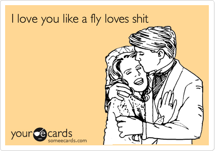 I love you like a fly loves shit