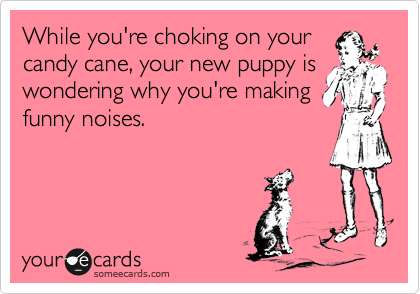While you're choking on your
candy cane, your new puppy is
wondering why you're making
funny noises.