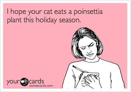I hope your cat eats a poinsettia plant this holiday season.