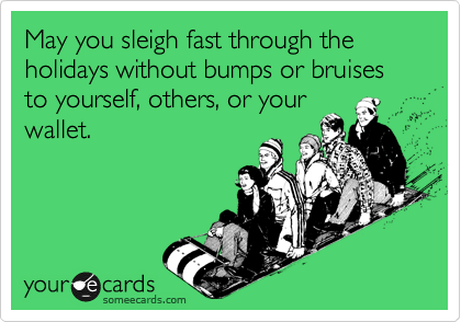 May you sleigh fast through the holidays without bumps or bruises to yourself, others, or your
wallet. 