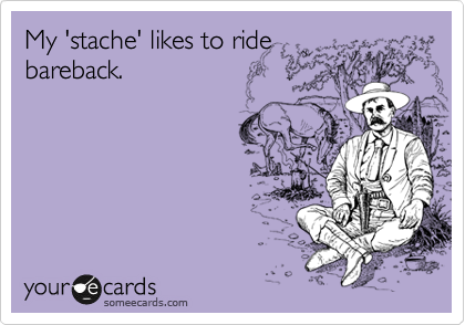 My 'stache' likes to ride
bareback.
