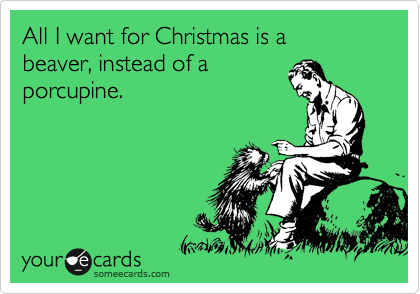 All I want for Christmas is a 
beaver, instead of a
porcupine.