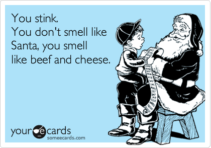 You stink.
You don't smell like
Santa, you smell 
like beef and cheese.