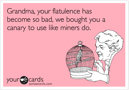 Grandma, your flatulence has become so bad, we bought you a canary to use like miners do.